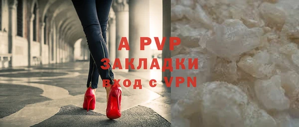 ГАЛЛЮЦИНОГЕННЫЕ ГРИБЫ Ельня