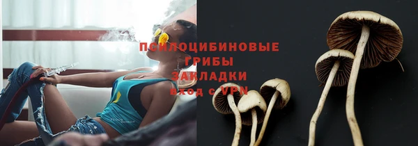ALPHA PVP Дмитриев