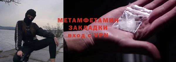 ГАЛЛЮЦИНОГЕННЫЕ ГРИБЫ Ельня