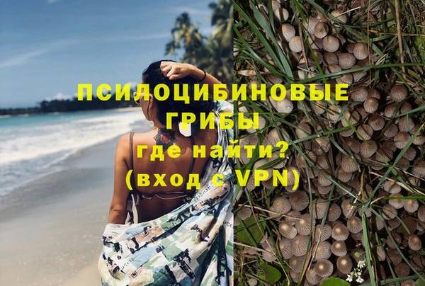 ECSTASY Дмитровск